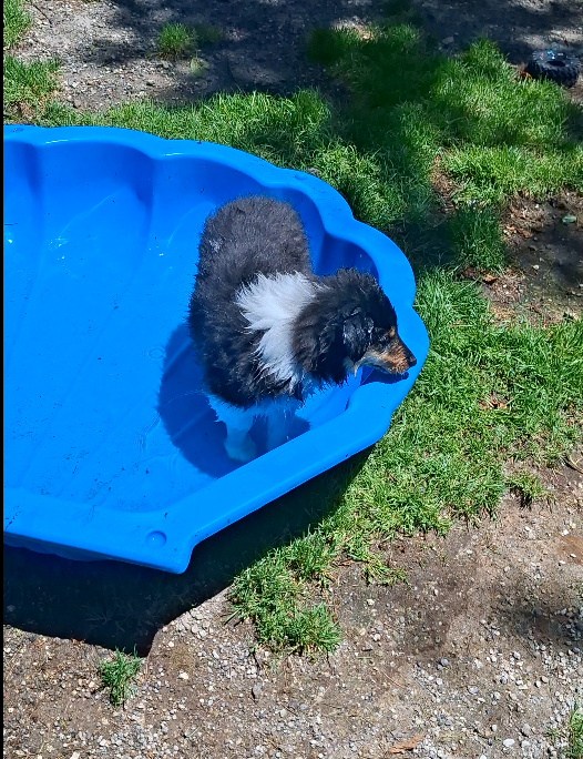 Sell _ Trade Me – Google Chrome 8_12_2025 1_42_02 pm