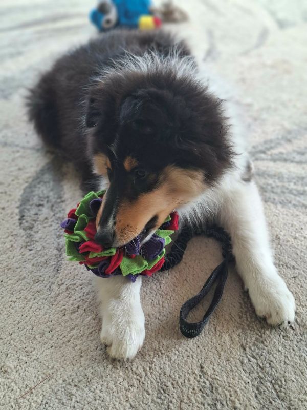 66acc0ed-44e4-4267-a4bc-36b912cd8963