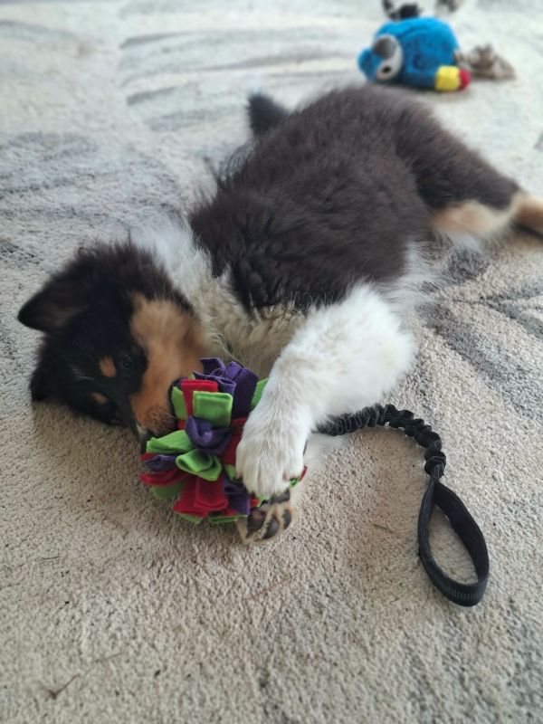 6ea73572-150e-45ea-aa07-5b54b7b13806