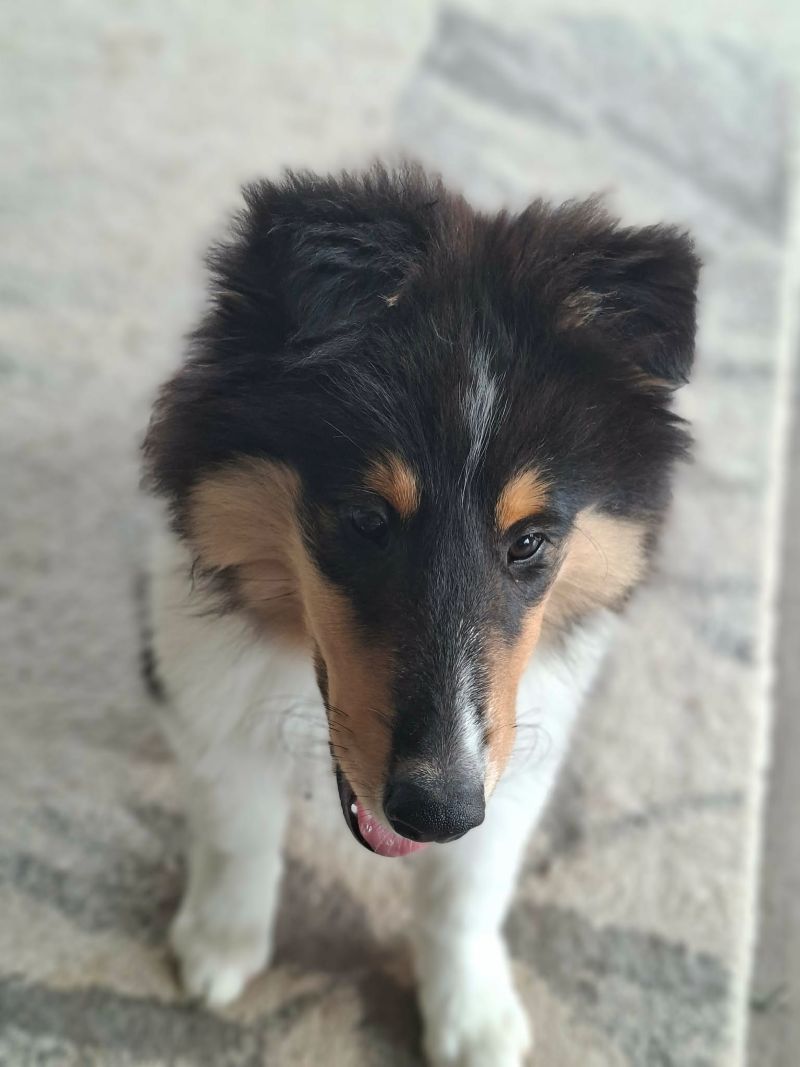 a71e38f2-cfb2-4f2d-b611-c2f7e7bcf0c1